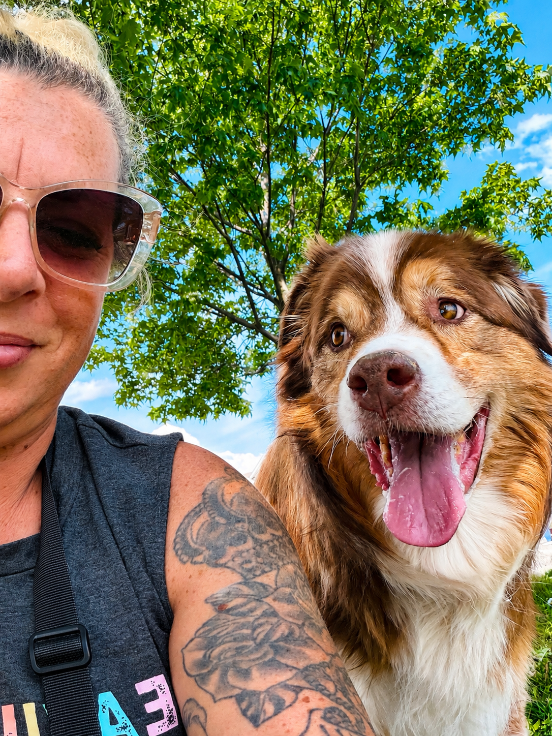 Happy pet cared for by WAGZ