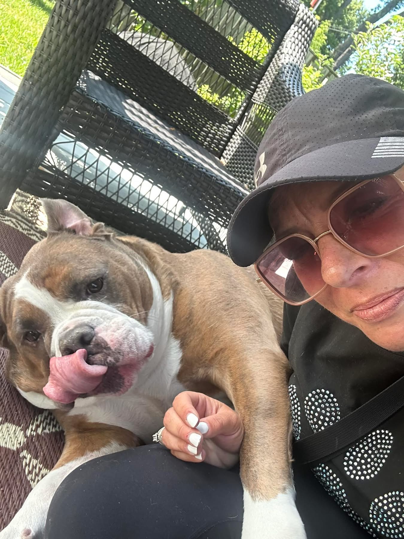 Happy pet cared for by WAGZ